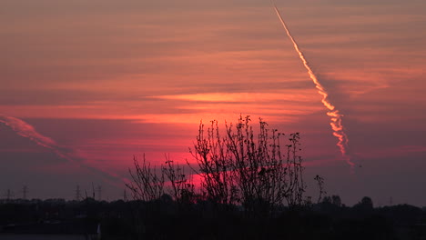 Germany-jet-contrail-at-dawn