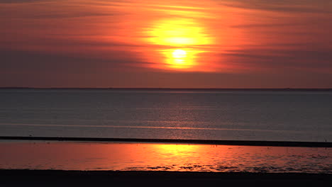 Germany-setting-sun-on-the-Wadden-Sea-with-birds-flying