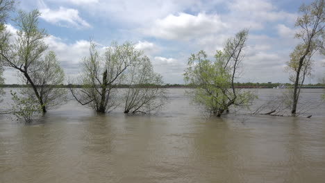 Louisiana-árboles-Del-Río-Mississippi-En-Inundación