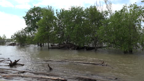 Louisiana-überschwemmte-Mississippi-Mit-Baumstämmen