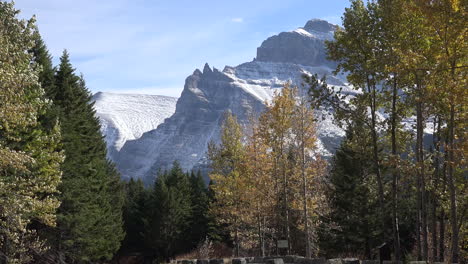 Montana-Berge-Und-Espenbäume-Im-Gletscherpark