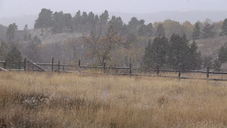 Montana-snow-falling-on-field-and-fence