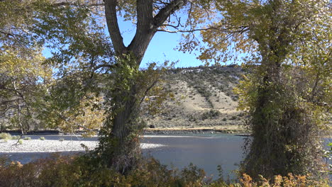 Vista-Del-Marco-De-Los-árboles-De-Montana-Del-Río-Yellowstone.