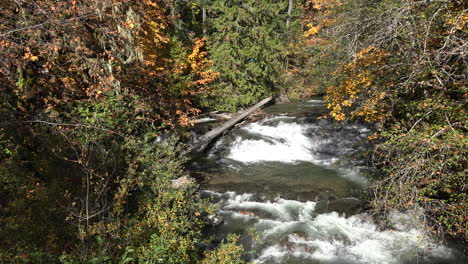 Autumn-mountain-stream-in-Cascade-Mountains