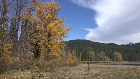 Lago-Perdido-De-Oregon-Con-árboles-Y-Hojas-Amarillas