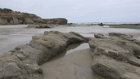 Oregon-Marine-Gardens-rocks-at-low-tide