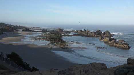 Oregon-Seal-Rocks-at-minus-low-tide