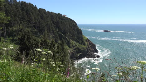 Oregon-Klippe-Mit-Meer-Und-Wildblumen