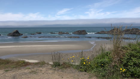 Oregon-view-of-Seal-Rocks-at-mid-tide