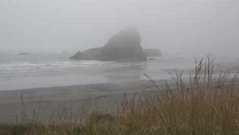 Oregon-offshore-rock-in-fog
