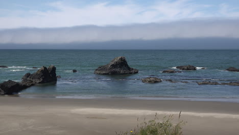 Oregon-Vergrößern-Sie-Robbenfelsen