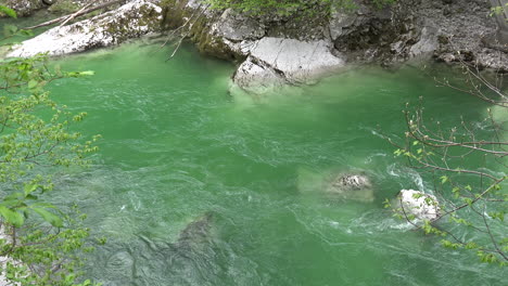 Slovenia-green-water-in-flowing-stream