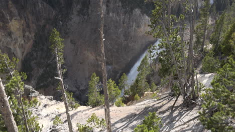 Yellowstone-Lower-Falls-Ansicht