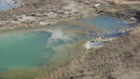 Yellowstone-Milchig-Blaues-Wasser-Im-Mimulus-Pool