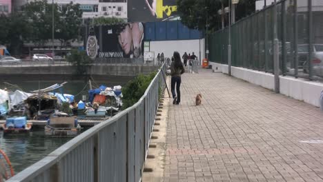 Hong-Kong-woman-walking-dog