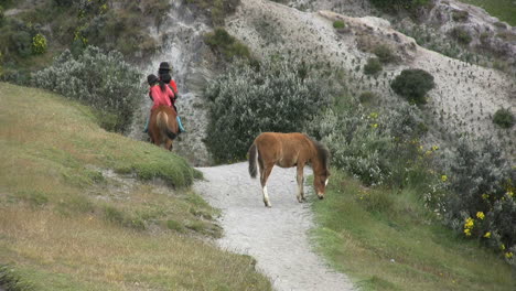 Ecuador-Horse-and-colt