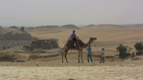 Egypt-Camel-and-desert-at-Giza