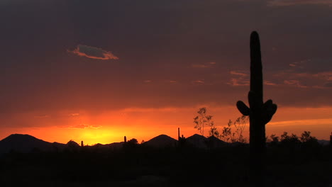 Arizona-Wüste-Kurz-Nach-Sonnenuntergang