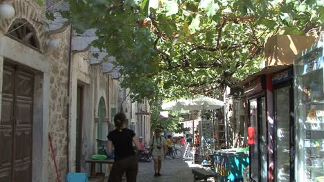Chios-Rebe-Schattige-Straße-In-Mesta