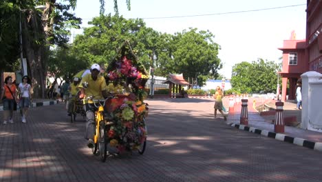 Bicicletas-Flor-Malaca