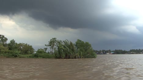 Mekong-scene-with-vegetation