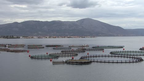 Fish-farm-at-Mytikas-in-the-Ionian-Sea