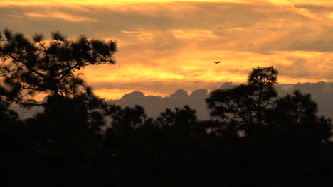 Florida-Sonnenuntergang-Mit-Flugzeug