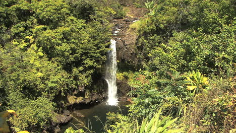 Hawaii-Kamaee-Falls-amid-vegetation