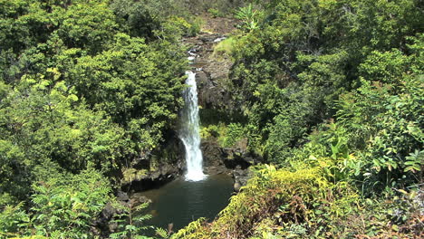 Hawaii-Kamaee-Falls