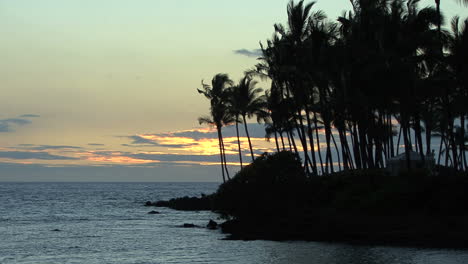 Hawaii-Kona-coast-palms-sea-sunset