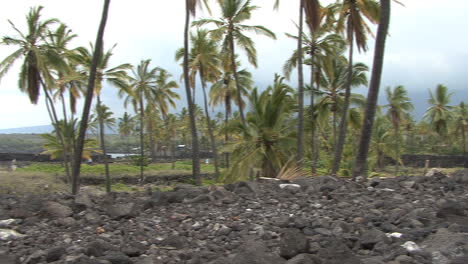 Pared-De-Sartenes-Hawaii-En-Lugar-De-Refugio-2