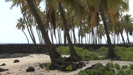 Hawaii-Pans-wall-Place-of-Refuge