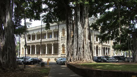 Honolulu-Iolani-Palace-Con-Banyan-Tree-3