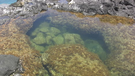 Tide-pool-with-rocks-in-Kauai