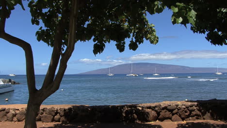 Maui-Lahaina-Tree-seawall-and-Lanai
