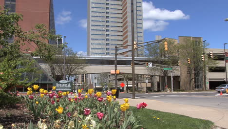 Tulips-in-downtown-Fort-Wayne-Indiana