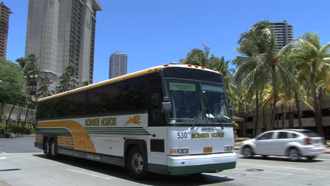 Waikiki-Touristenbus
