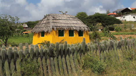 Valla-De-Cactus-Bonaire