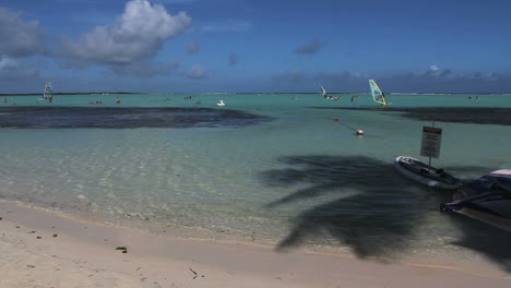 Bonaire-Strand-Mit-Palmenschatten