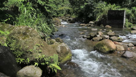 Un-Río-De-Montaña-En-Dominica