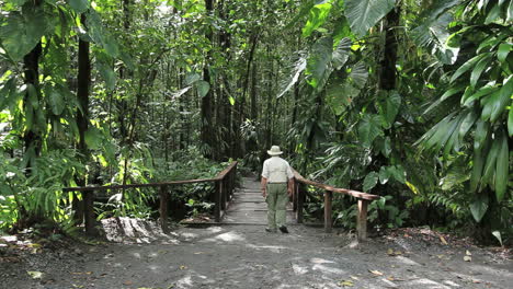 Dominica-Bridge-in-a-rainforest