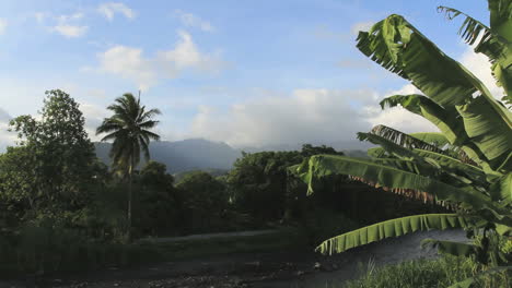 Valle-Del-Río-Tahití-Con-Hojas-De-Plátano