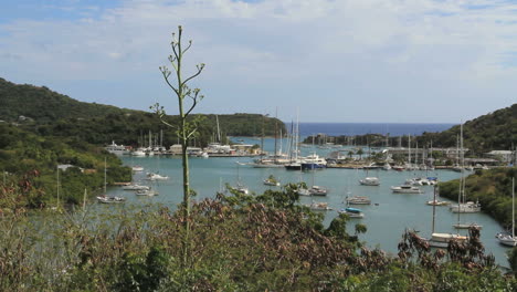 Antigua-Nelson's-Dockyard-with-yucca