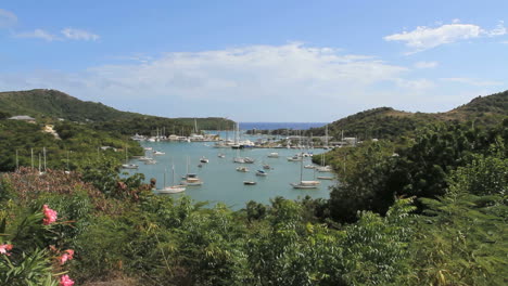 Antigua-Nelson's-Dockyard-with-flowers