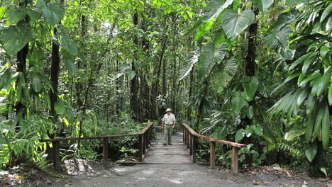 Dominica-rainforest-man-on-bridge