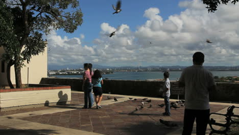 San-Juan-pigeons