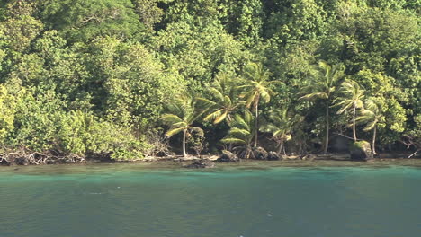 Huahine-view-of-palms-on-shore