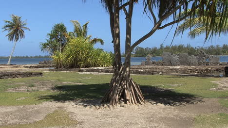 Huahine-sacred-stones-framed-by-tree