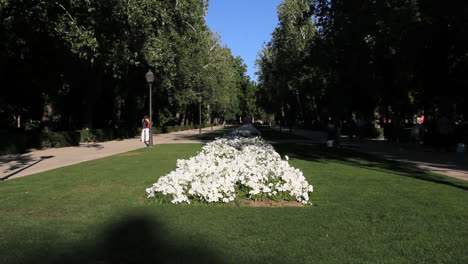 Madrid-flowers-in-park