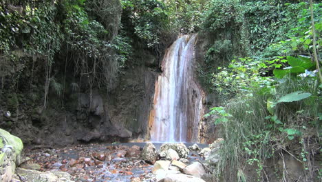 St-Lucia-Diamond-Falls-Con-Vegetación
